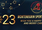 Montenegrin Sports Academy wishes you a happy New year!