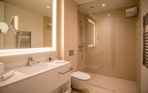 Hotel 7